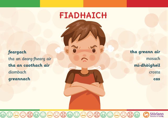 Emotion Poster - Fiadhaich