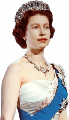 hm-queen HM Queen